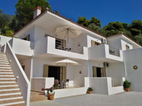 Отель Skiathos Lagoterra Apartments  Скиатос